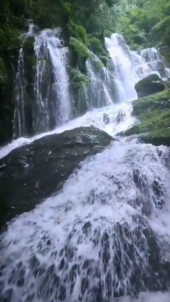 邻居因为我调了起床铃还是受不了，我这明明都是针对自己的作息时间是避免睡眠过多，但他们总是报复？游戏画面